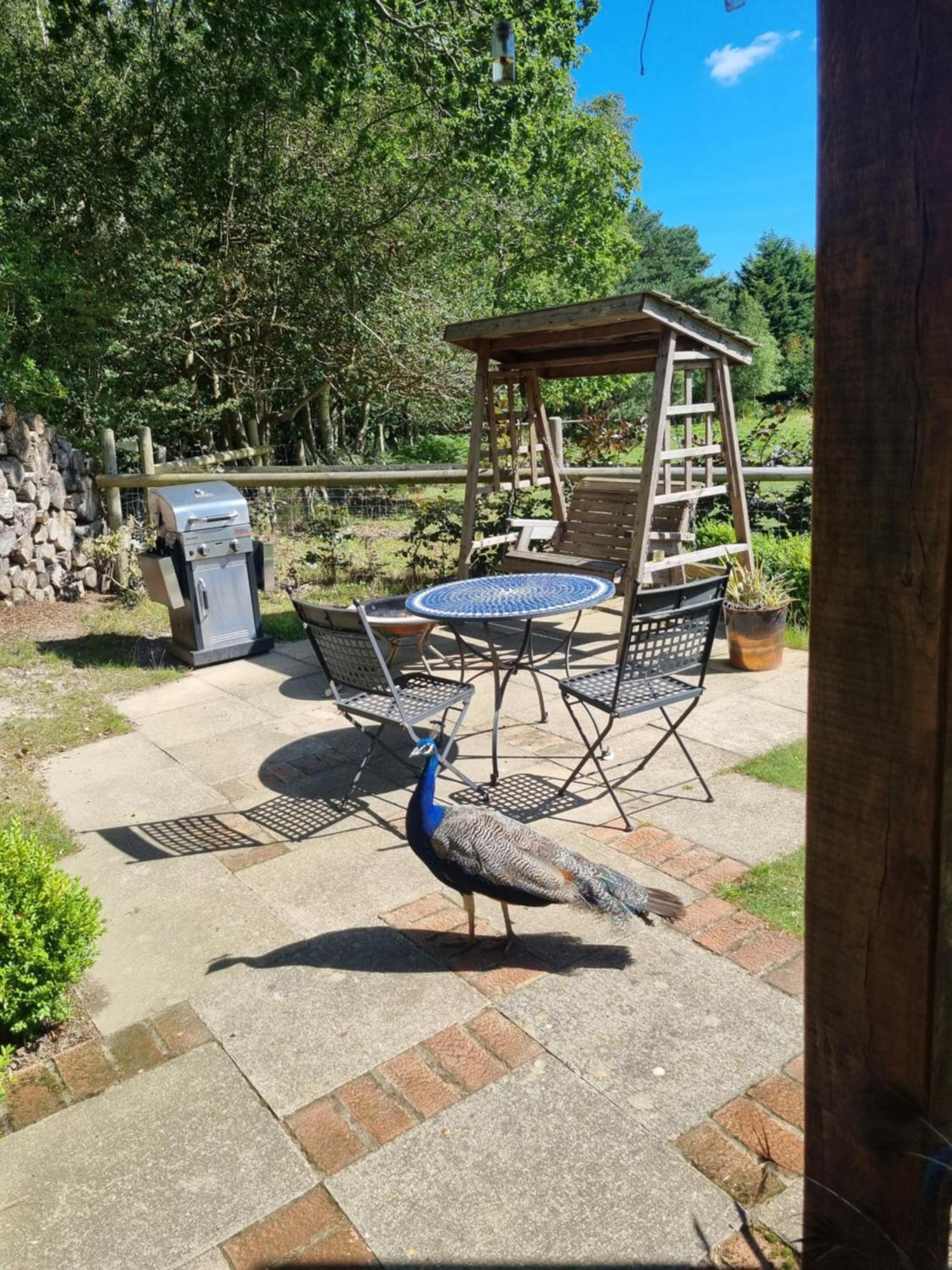 Sika Hut Vila Wareham Exterior foto