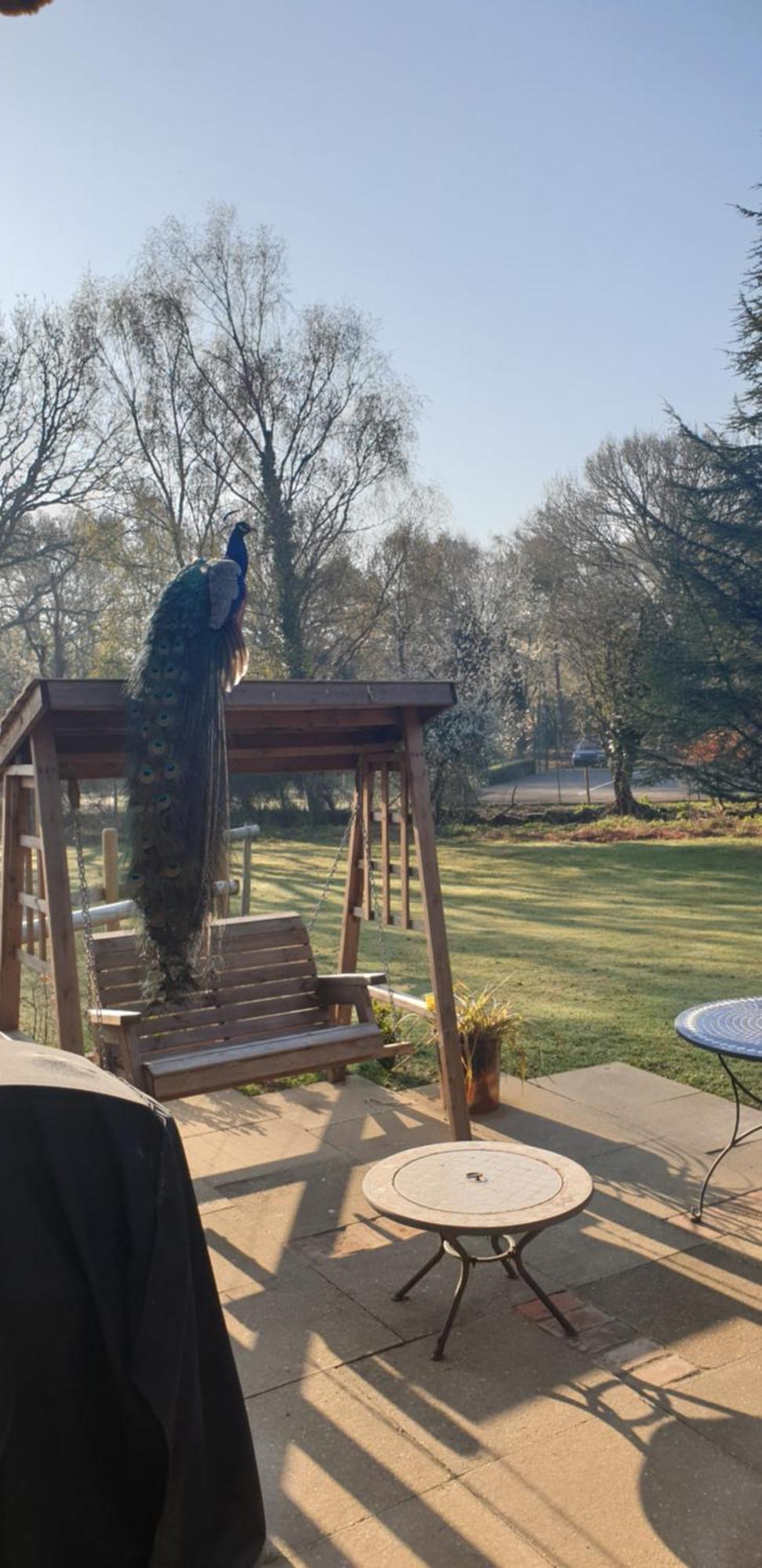 Sika Hut Vila Wareham Exterior foto