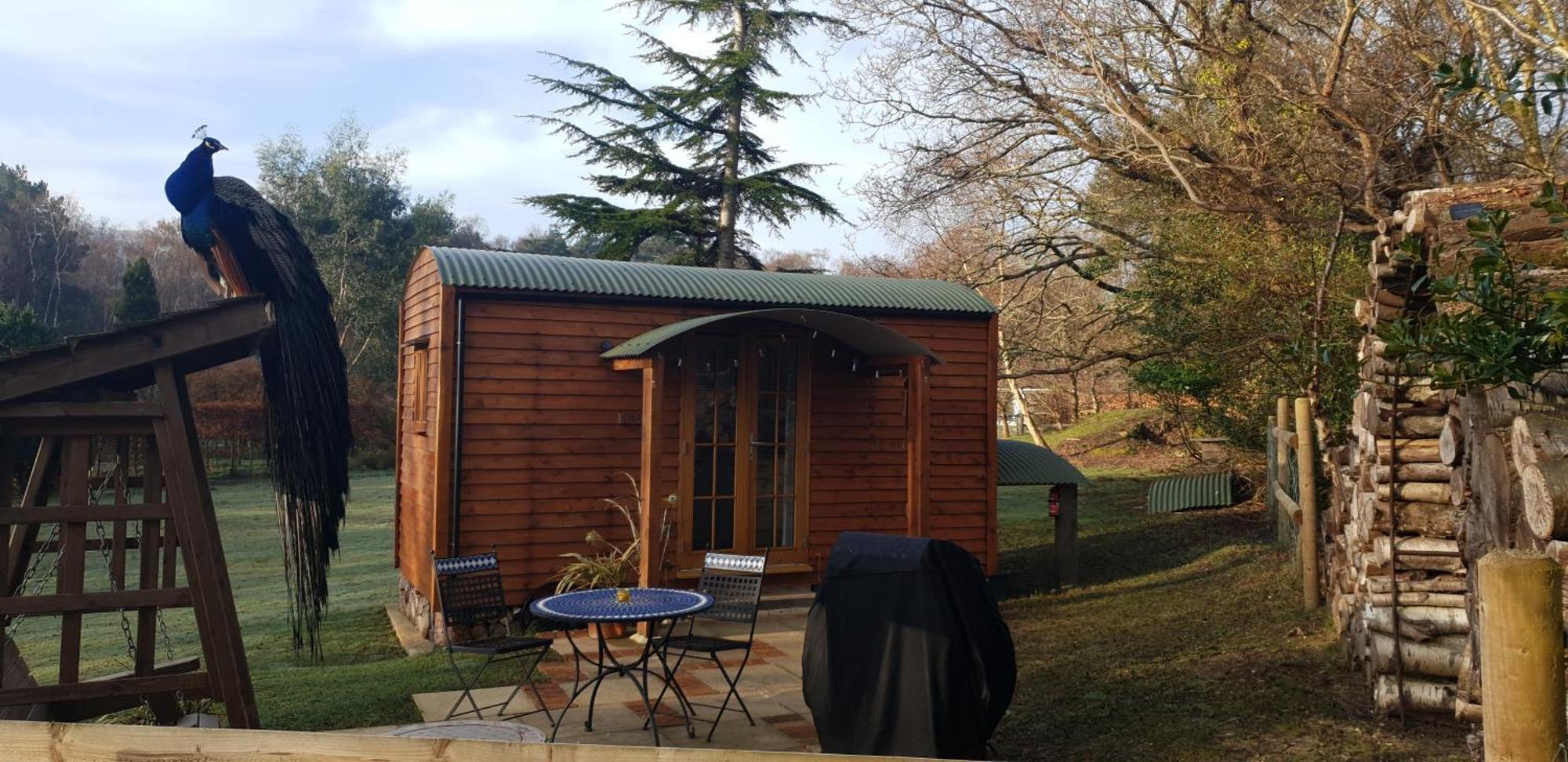 Sika Hut Vila Wareham Exterior foto